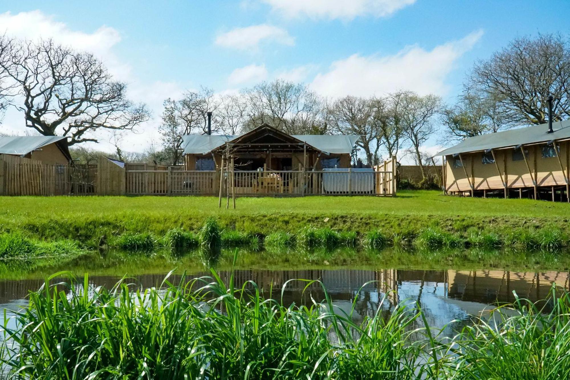 Jungle Book Safari Tent Tenby Esterno foto